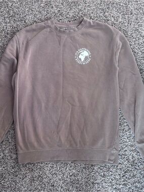Men's Crewneck Sweatshirt in Taupe with Chest Graphic
